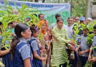দুস্থদের সহায়তা, শিক্ষার্থীদের স্বাস্থ্যসেবা ও বৃক্ষরোপণে মান্দায় বিশেষ কর্মসূচি