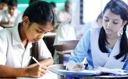 প্রাথমিক বৃত্তি পরীক্ষার ফল প্রকাশের সম্ভাব্য সময় জানাল অধিদপ্তর